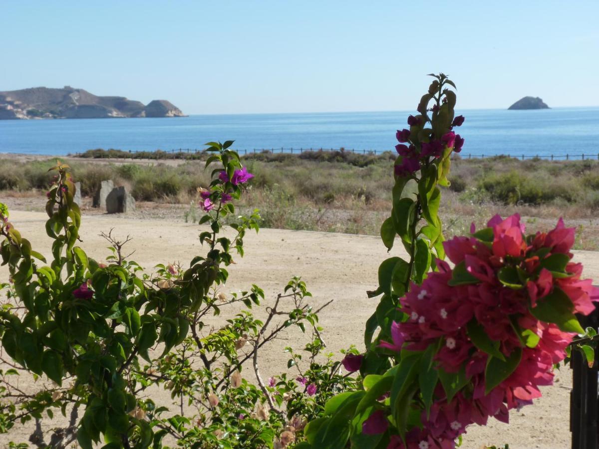 Las Azaleas San Juan de los Terreros Zewnętrze zdjęcie